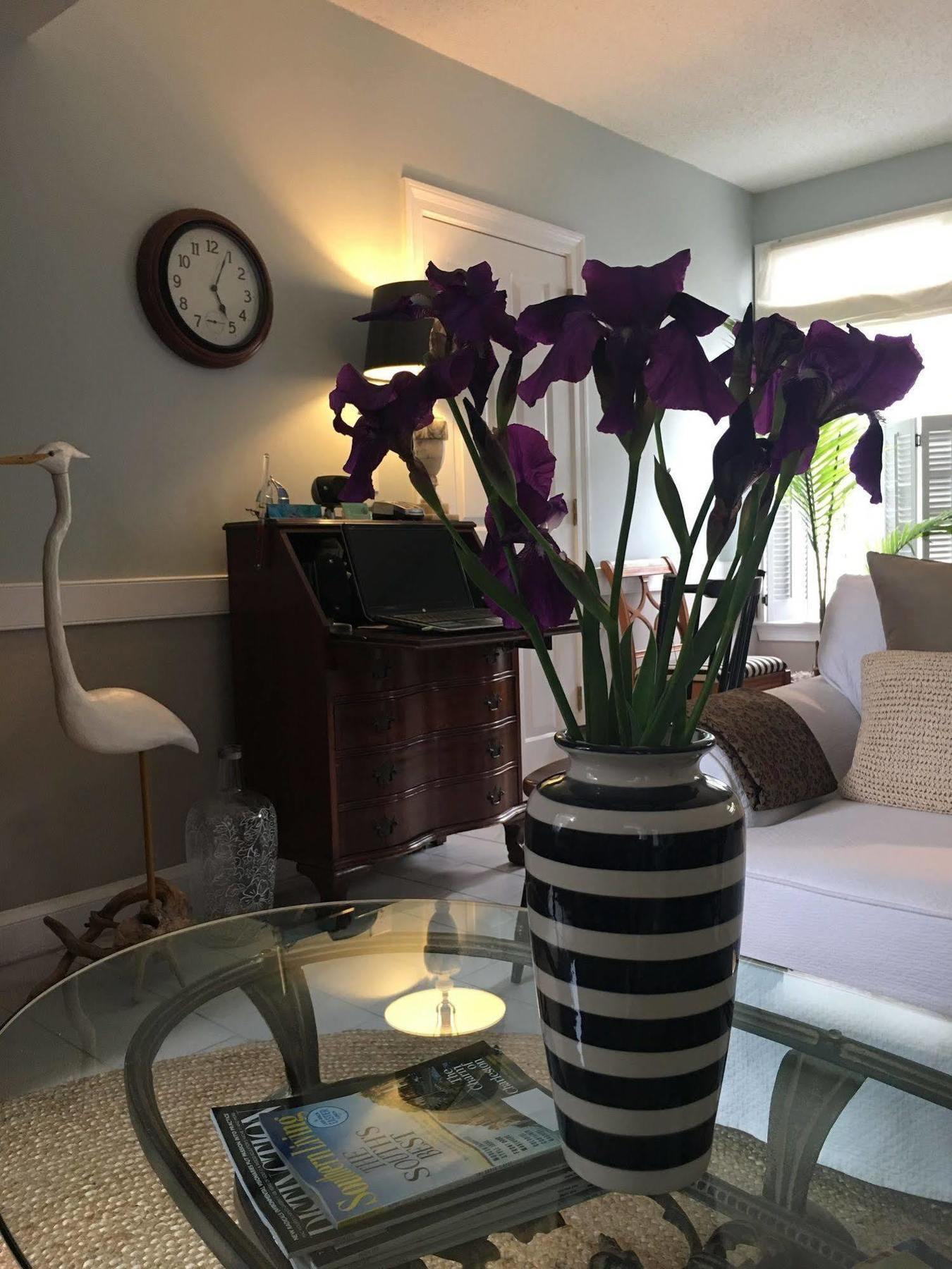 Barclay Cottage Bed And Breakfast Virginia Beach Buitenkant foto