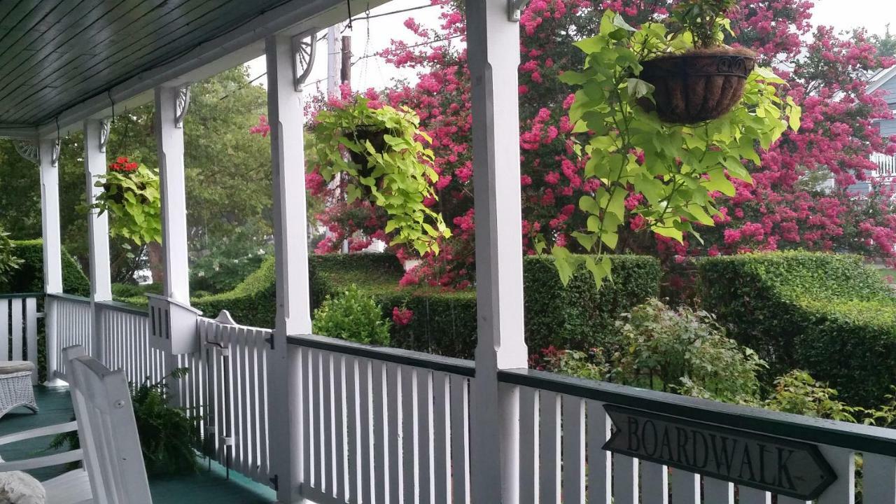 Barclay Cottage Bed And Breakfast Virginia Beach Buitenkant foto
